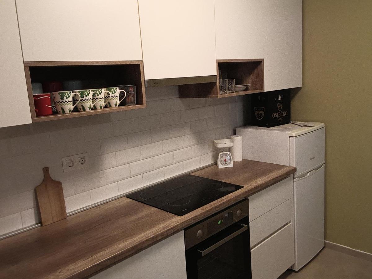 Apartman Terra Centar, Free Parking 오시예크 외부 사진