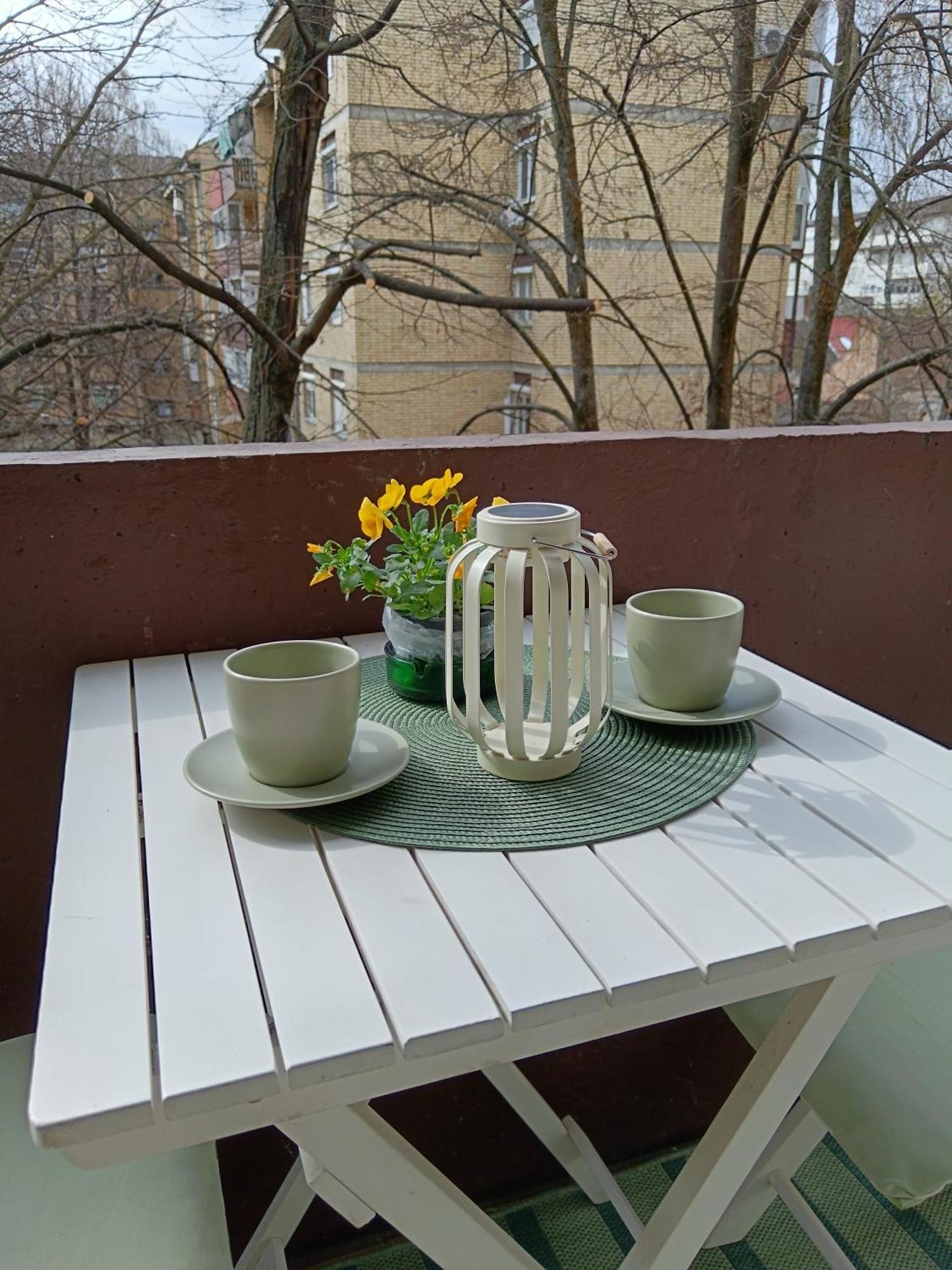 Apartman Terra Centar, Free Parking 오시예크 외부 사진